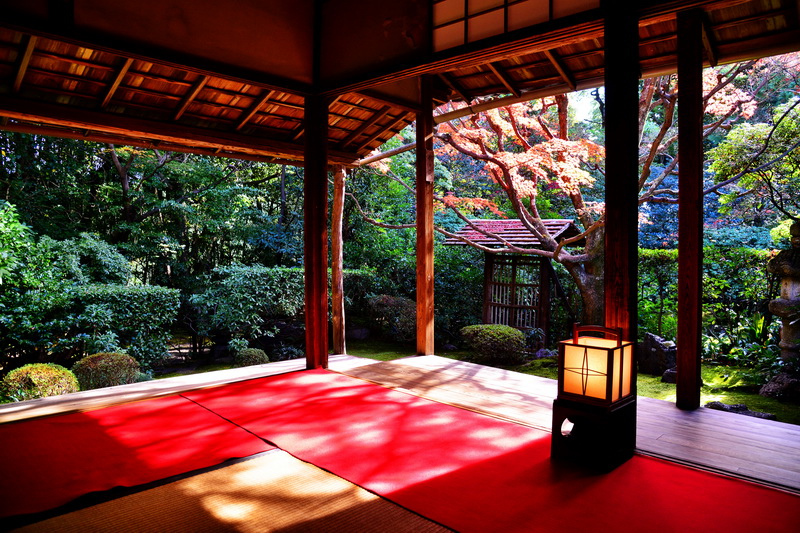 京都妙心寺別院|桂春院|寺院森林的散策