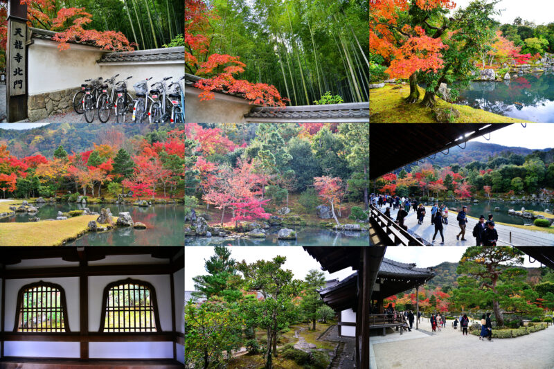 京都天龍寺|世界遺產|嵐山必遊景點