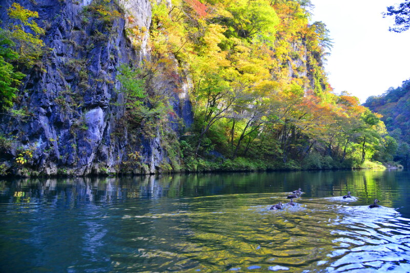 日本百景|猊鼻溪|幽谷泛舟遊船